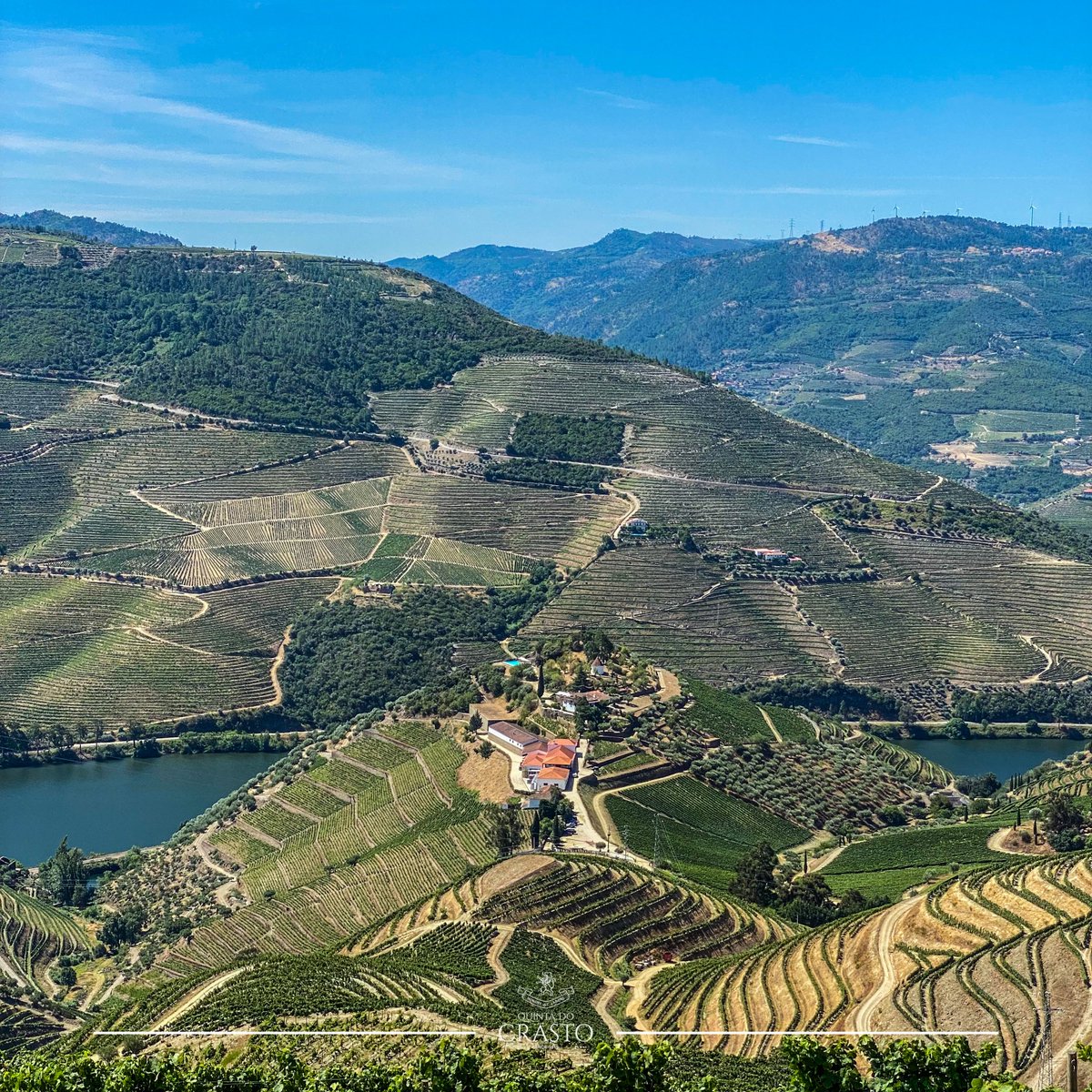 The #vineyards have different sun exposures: Vinha Maria Teresa faces east; the vineyards on the other slope of Quinta do Crasto face west; and the vineyards in the location where this photograph was taken face south. #Douro #wines are so unique! 🍇🙌🏼✨
#Wine #WinesofPortugal