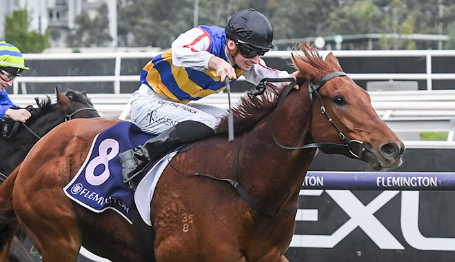 NOW | Flemington Market Preview

🔔 The Opening Bell w/ @PfitznerMiles & @julesvbet

🎧 sen.com.au/listen-live-tr… 

Got a question for the team?

Ring us 1300 23 55 48!

#Winners #OpeningBell