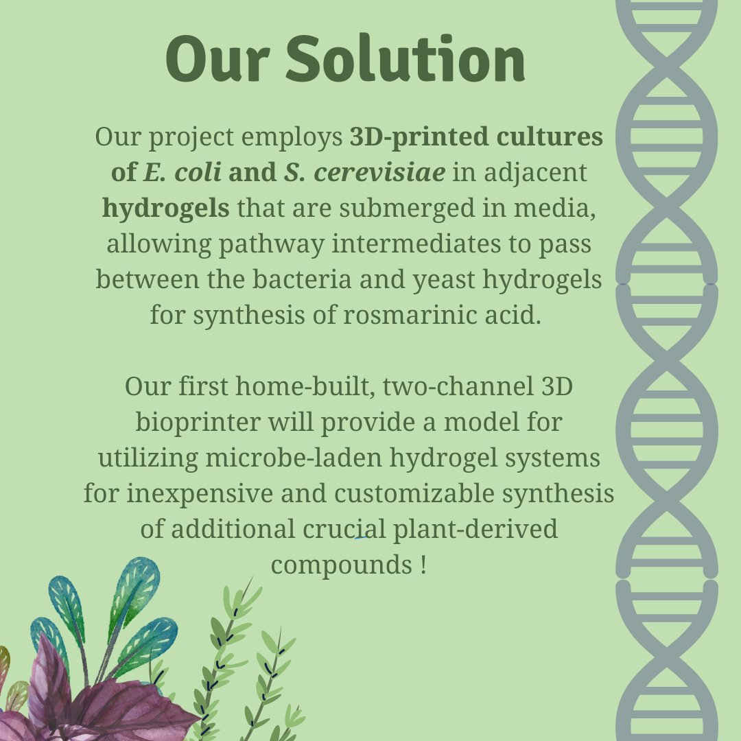 ur_igem's tweet image. Time for a Project Reveal! See what Team RoSynth will be creating this summer!
#igem #igem2023 #projectreveal
@iGEM @UofR