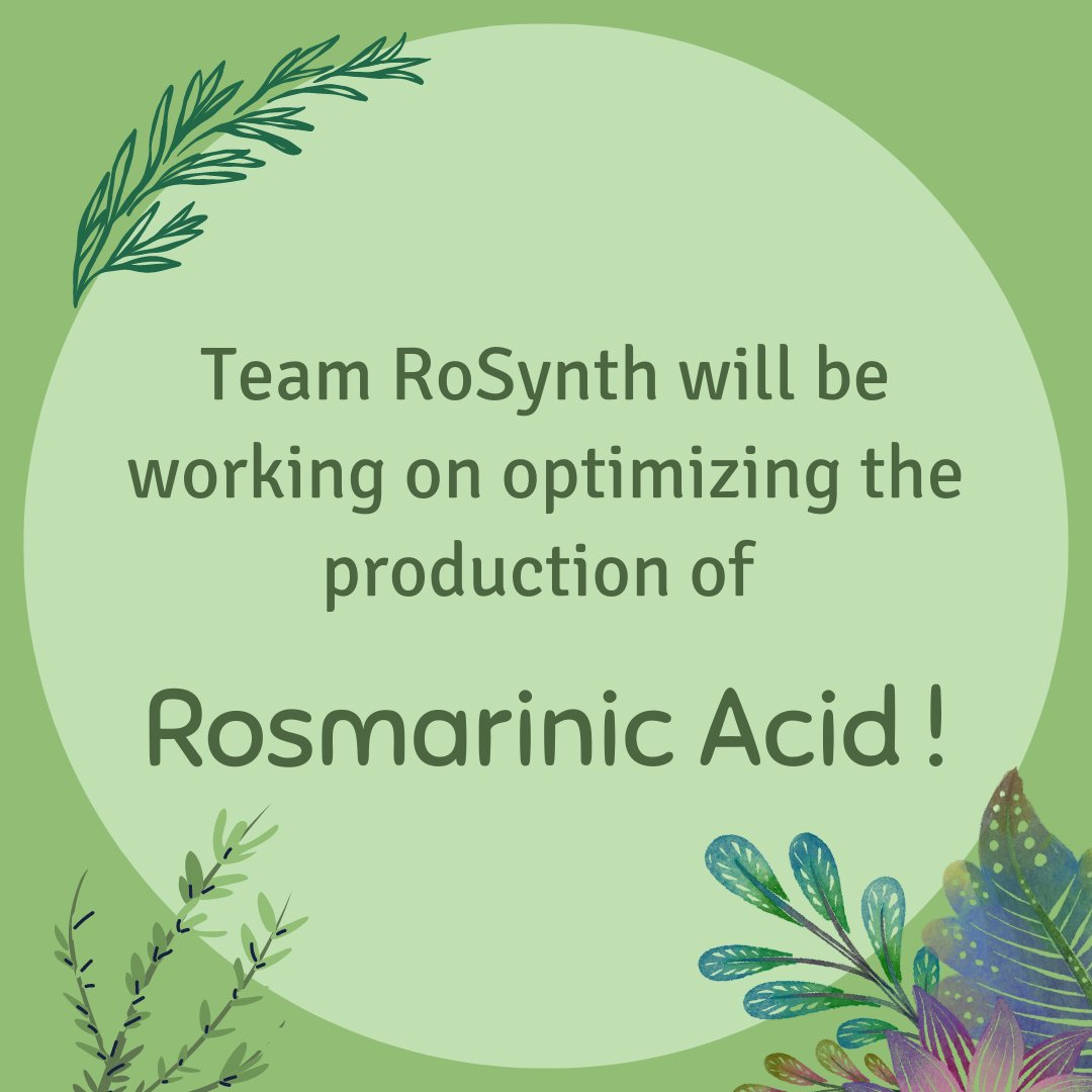 ur_igem's tweet image. Time for a Project Reveal! See what Team RoSynth will be creating this summer!
#igem #igem2023 #projectreveal
@iGEM @UofR