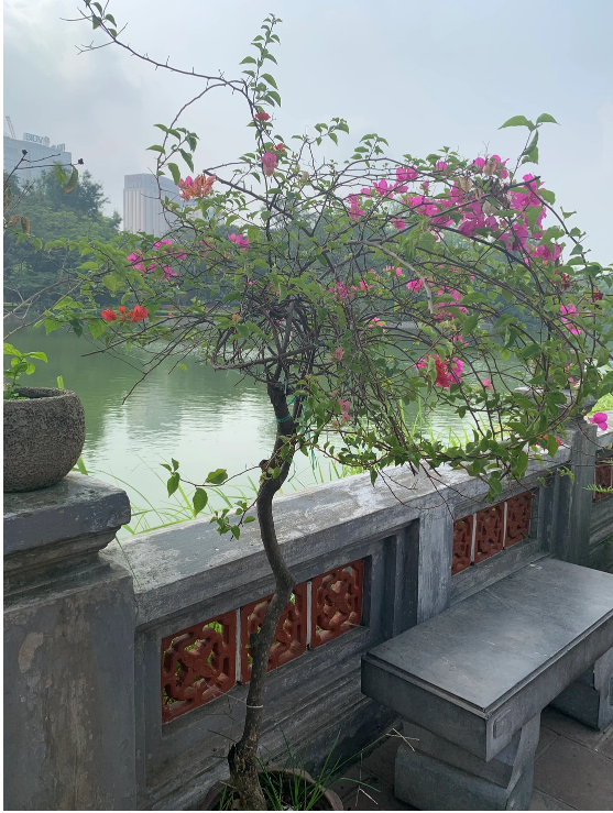 UFNursing's tweet image. #GatoRNursing faculty Karen Reed shared her latest update from Vietnam! She recently conducted a workshop on the role of rehabilitation in the Vietnamese community and spent some time at the iconic Ngoc Son Temple. Read more here: shorturl.at/chHKU