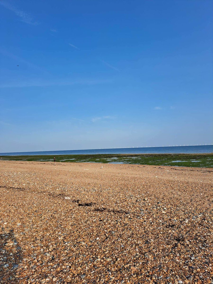 Weald School Trips tweet media