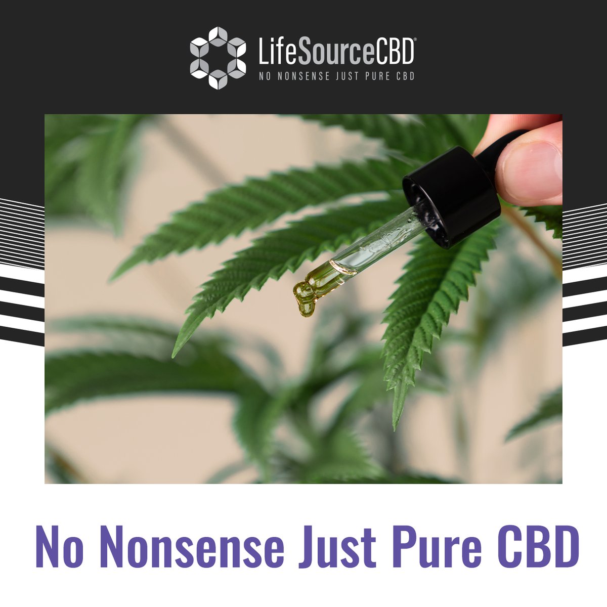 lifesourcecbd's tweet image. No Nonsense. Just Pure CBD. 🌿✨
Our CBD products are crafted with pure, high-quality CBD extract, providing you with all the natural goodness and benefits you deserve.
Shop online: lifesourcecbd.net/shop/. 

#cbd #thc #hemp #cannabiscommunity #cbdoil #cbdhealth #cbdproducts