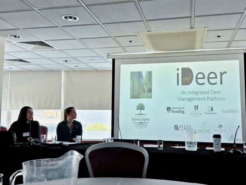 Dr Elena Cini tweet media