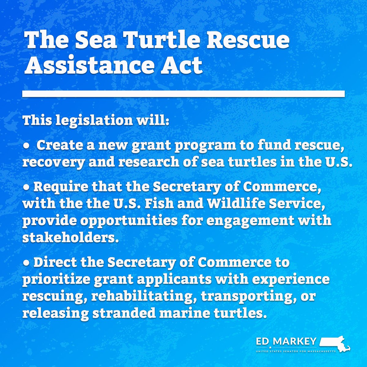 Turtle Secretary Ed Markey on Twitter: