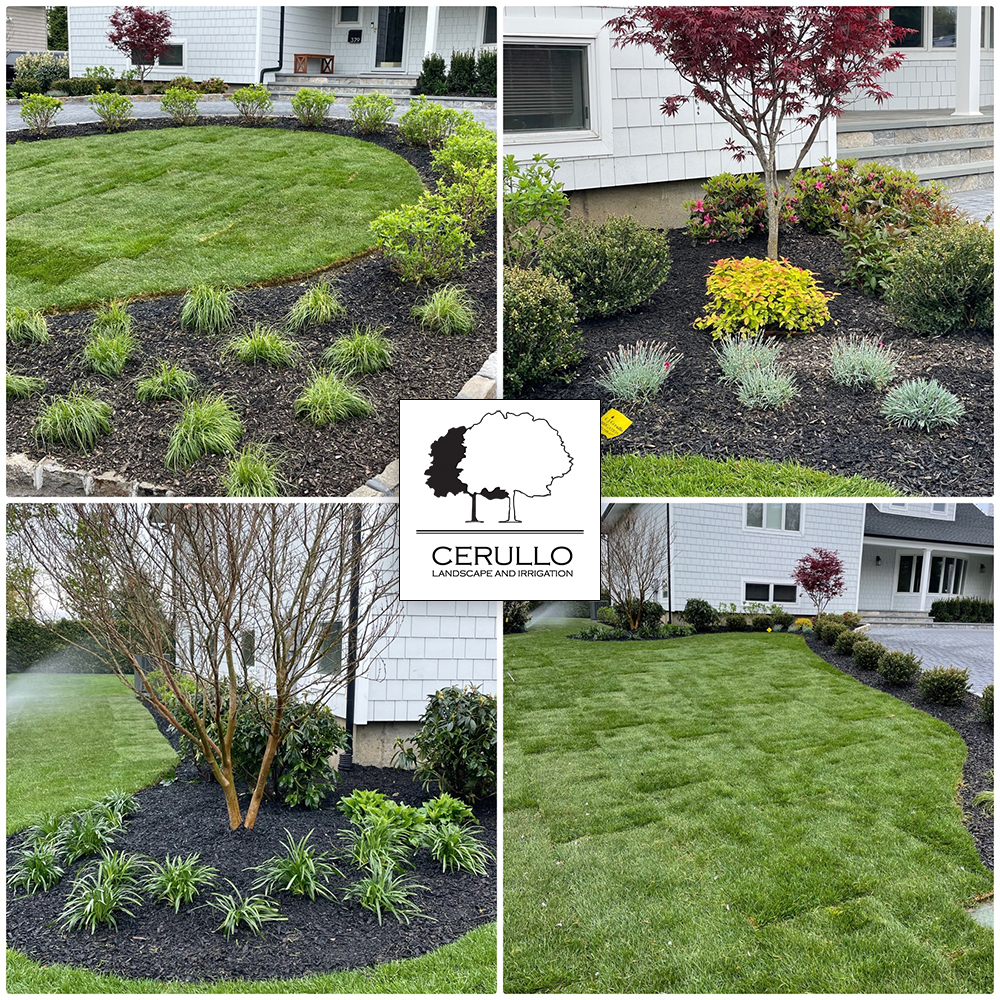 Another beautifully landscaped #home! 💪
.
#LandscapingGoals, #OutdoorOasis, #LushLandscapes, #GreenThumb, #ResidentialLandscaping, #ResidentialGardens, #OutdoorLiving, #CurbAppeal, #SustainableScapes, #CerulloLandscape #NassauCounty #LongIsland
