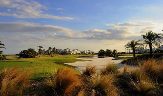 Collegiate Golf Tour tweet media