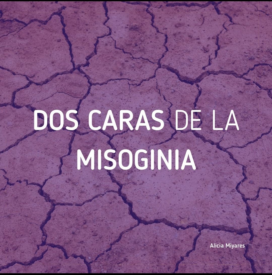 aliciamiyares's tweet photo. El feminismo entre dos delirios.
1. Delirio Queer: ser mujer es un sentimiento. Promovido por la izqda.
2. Delirio Vox: no hay violencia contra las mujeres. Promovido por la dcha.
Frente a ellos razón feminista.
#NegacionDeLaRealidadEsMisoginia
#DelirioQueerDelirioVoxEsMisoginia https://t.co/TCfVuGvUMR