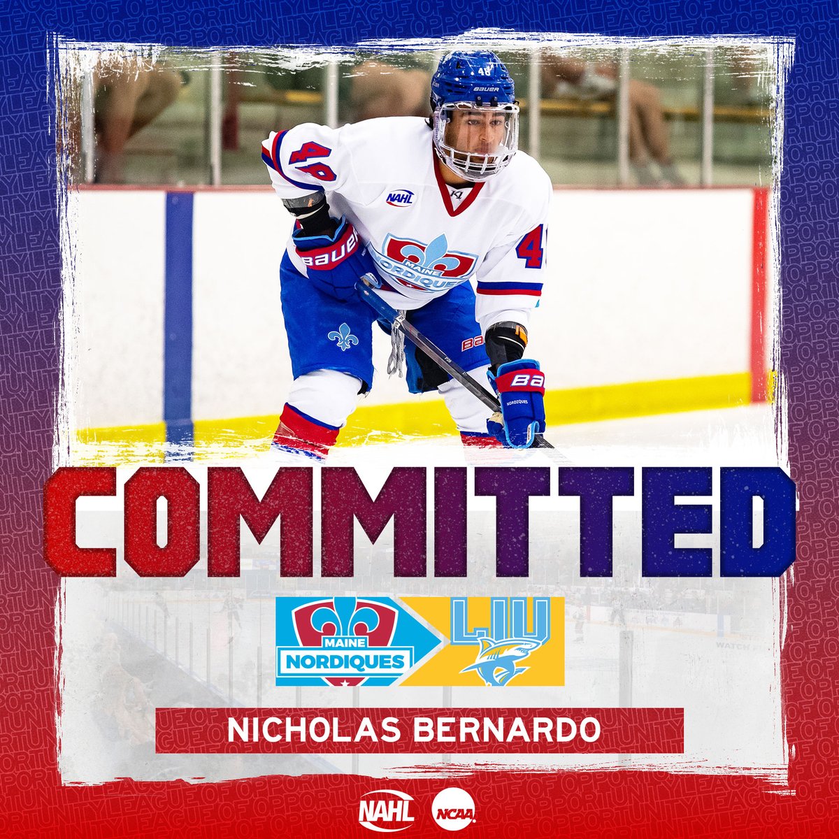 #NAHL Commitment Alert: <a href="/MaineNordiques/">Maine Nordiques</a> and Top Prospects defenseman Nicholas Bernardo has committed to play NCAA Division I <a href="/collegehockey/">College Hockey Inc.</a> for <a href="/LIUMHockey/">LIU Men’s Ice Hockey</a> #MadeintheNA nahl.com/news/story.cfm…