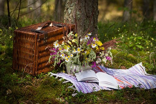 gocybernaut.com/picnic-month/
International Picnic Day is on June 18.  #gocybernaut #cybernaut #picnic #internationalpicnicday #picnicday #onthisday #June18