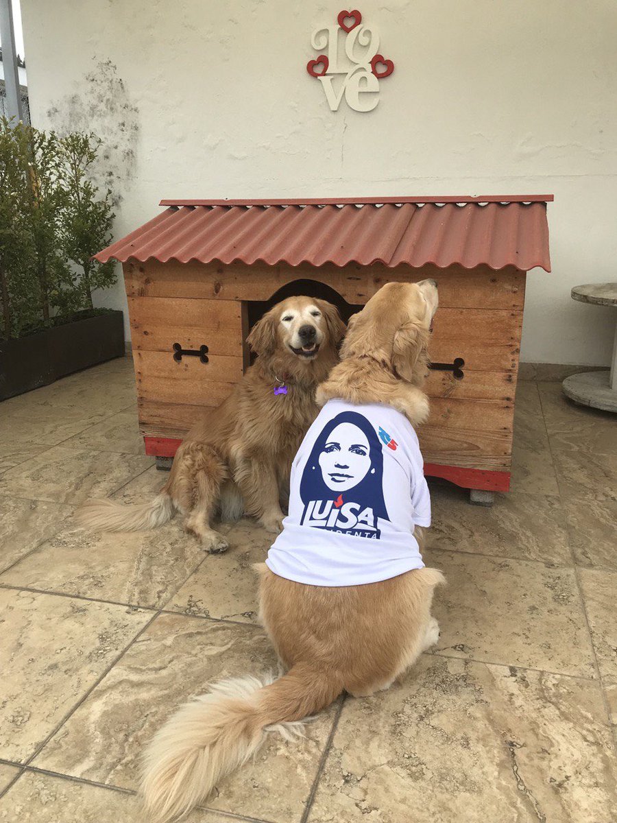 Rafael Correa tweet media