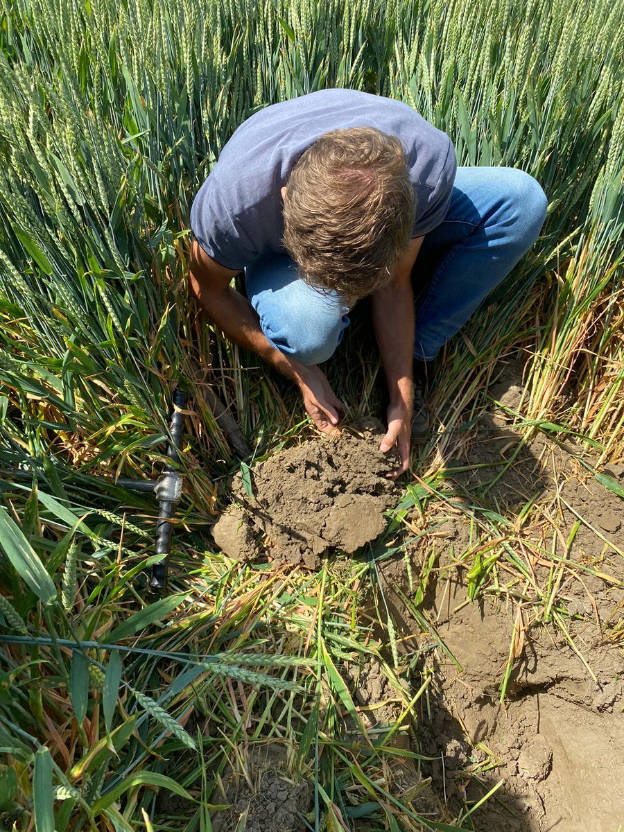 Everhard Van Essen tweet media