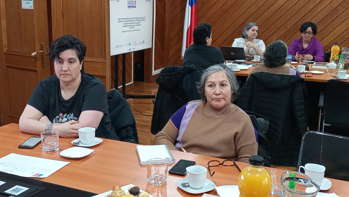 Seremi Ciencia Magallanes y Antártica Chilena tweet media