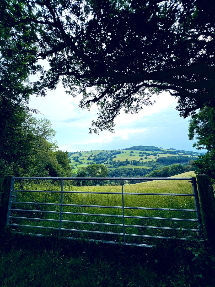 SutchFun's tweet image. Just done my first +6 mile country walk *solo* and honestly I feel like a bloody hero. The anxiety was unreal but it was FINE. More than fine. It was INSANE. 🤯 Absolute scenes 💚 #NatureNotes
