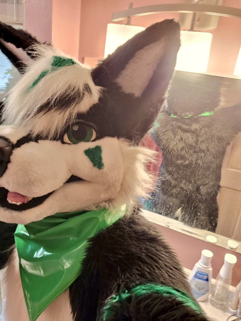 💚 Gloopsky 💚 レイデン・ハスキー tweet media