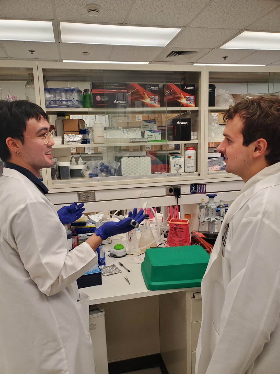 KristinHuntoon's tweet photo. It is that time of year - summer thus summer students! Eager to learn how to #endcancer &amp; all the techniques to gather the data. #teamscience @BettyKimLab @wenjiang_nano @tdgallup @MDAndersonNews https://t.co/xtYpPIBL4s