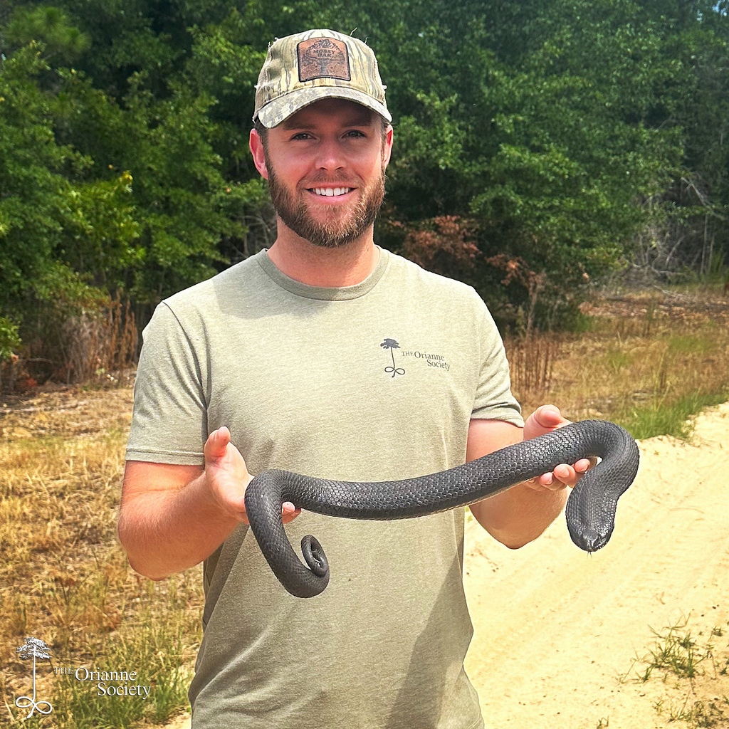 Caleb Goldsmith with a beautiful eastern hognose snake discovered while conducting post-burn monitoring for a recent prescribed burn. 

#Orianne #CalebGoldsmith #rxburn #prescribedburn #snake #easternhognosedsnake #hognosesnake