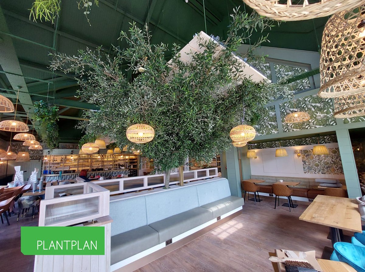 🪴 #Teamplantplan have delivered some fantastic installs this week. Well done, team 👍
Ask Plant Plan to transform your space! 
👉 0800 279 3120 👉 plantplan.co.uk
#greenwalluk #officeplantsuk #biophilicdesign #biophilia #NaturebyDesign #beingcreative