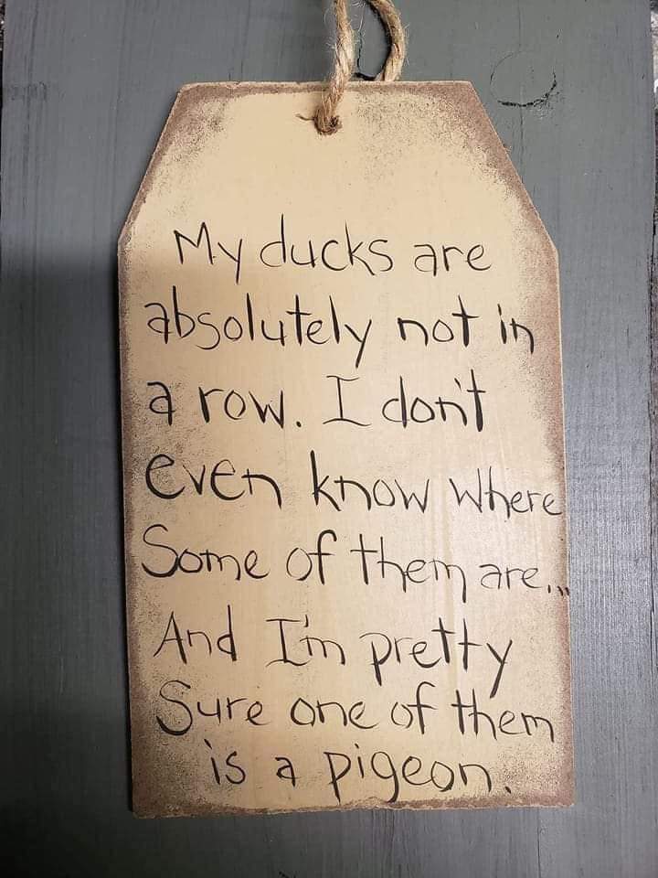 Beth Barton tweet media