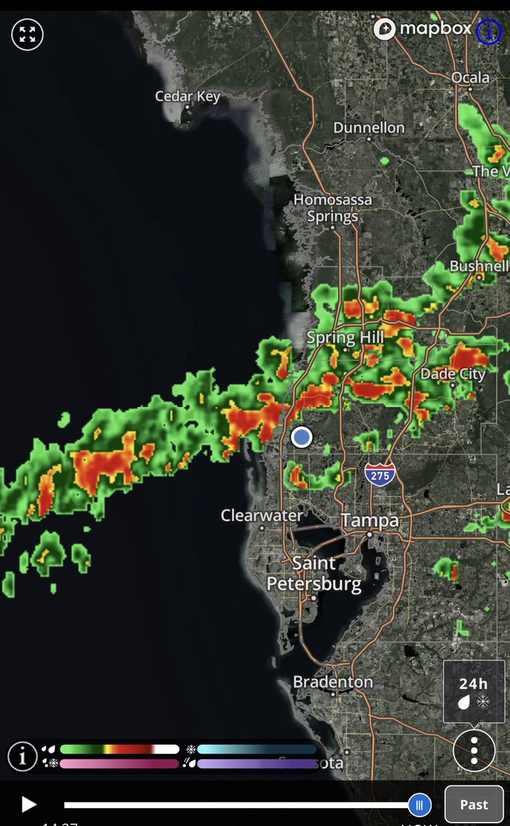 SkittlesFriends's tweet image. Skittles: Time to batten down the hatches and close the Catico,
We have a strong line of Thunderstorms with lots of lightning heading our way, 
🙀🙀🙀
#CatsOfTwitter 
#FridayThoughts 
#SummerThunderstorms 
#ScaryLighting