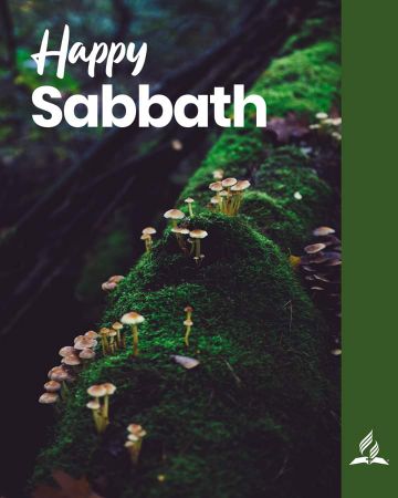 QuincyBernie's tweet photo. Happy Sabbath 🙏🔰 https://t.co/A0hsSiijNI