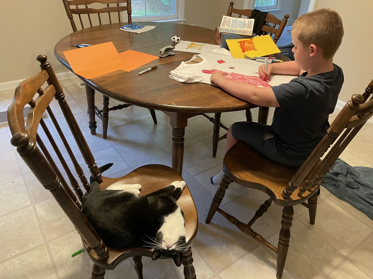 tuxedosiblings's tweet image. Dis is me helpzing #CatsOfTwitter