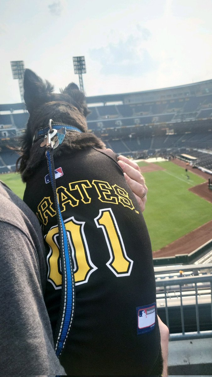 Pitteagle42's tweet image. Hines' first pup night at PNC Park. The outfielders playing catch was his favorite part. Lol