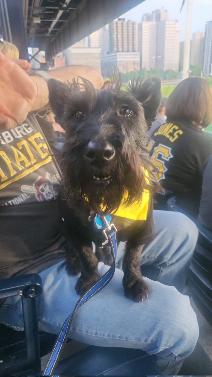 Pitteagle42's tweet image. Hines' first pup night at PNC Park. The outfielders playing catch was his favorite part. Lol