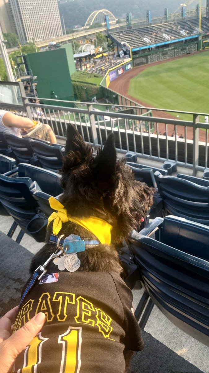 Pitteagle42's tweet image. Hines' first pup night at PNC Park. The outfielders playing catch was his favorite part. Lol