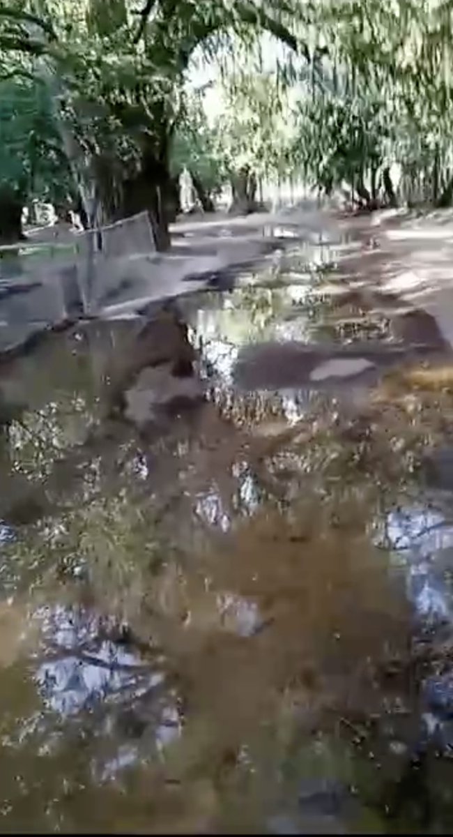 AViverosNoticia's tweet photo. BROTE DE AGUAS NEGRAS EN CAMINO DE EL SABINAL, AGS

#Aguascalientes #Sabinal #AguasNegras

https://t.co/rYrvk4vLE5 https://t.co/J87Qf5bPfY