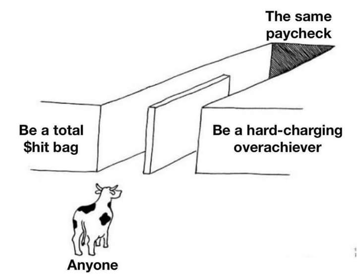 Orwell & Goode (@orwellngoode) on Twitter photo 