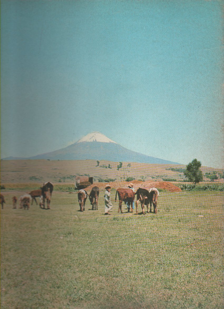 AkiraBooks's tweet photo. Geografia Universal Ilustrada España
Autores Varios
Ed. Abril-Noguer Rizzoli
Género Turismo
Año 1971
Idioma Español
N° de páginas 40
Fasciculo 2 volumen 1
Tapa Blanda
Altura 33 cm
Ancho 26 cm
Se separan la tapa y la contratapa
https://t.co/zkqVei0hDr https://t.co/pm36IxTIRB
