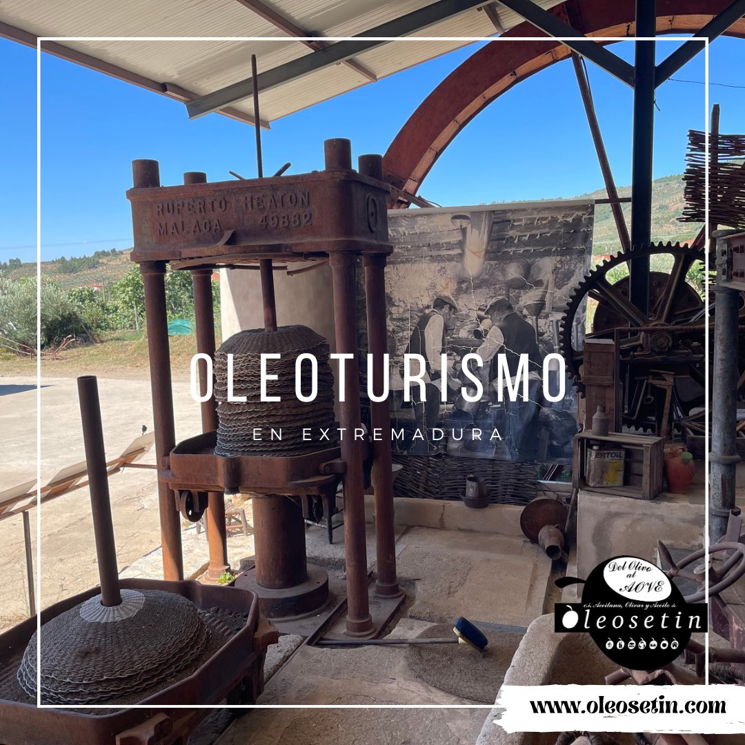 oleosetin's tweet image. Oleoturismo en Extremadura
Cultura del aceite 
@Ext_gastronomia #RutadelAceitedeExtremadura #RobledilloDeGata