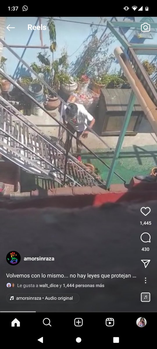 coyina416's tweet photo. Folio  Paot #1070823 LO ESTÁ MATANDO A GOLPES A ESTE PERRITO , YA BASTA POR QUE NO HAY CARCEL NI JUSTICIA PARA ELLOS 🐶 , AYUDAAAAA URGE SACARLO DE AHÍ , LO VA A MATAR 😭😭😭😭🆘 @PAOTmx @FiscaliaCDMX @AmorSinRaza @Claudiashein @SandraCuevas_ https://t.co/qAt9a7FB1L