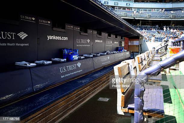 Max McKee tweet media