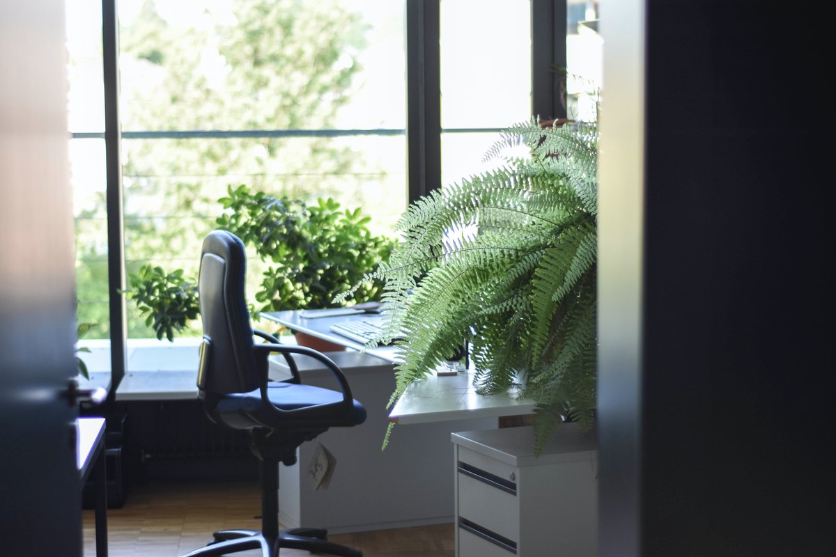 Green Office Cleaning in Waterloo: Advantages of Going Green for Your Office

More: edomeyenterprises.com/blog/green-off…

#Waterloo #kitchener #waterloocleaning #edomey #kitchenerwaterloo #guelph #waterlooontario #kitchenerontario #waterloocleaningcompany #waterloocleaners #waterloobusiness
