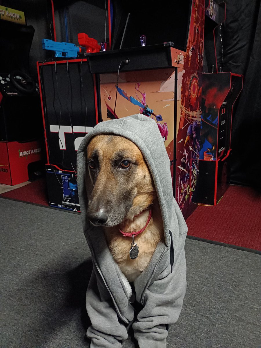 Call_Sign_Raven's tweet image. Bacho getting ready to fire up the arcades.