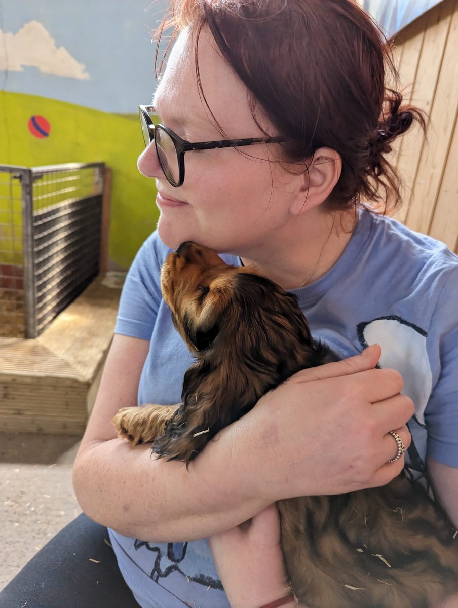 Got thee best birthday kisses from little Alfie here today! #StreamvaleFarm #puppycuddles