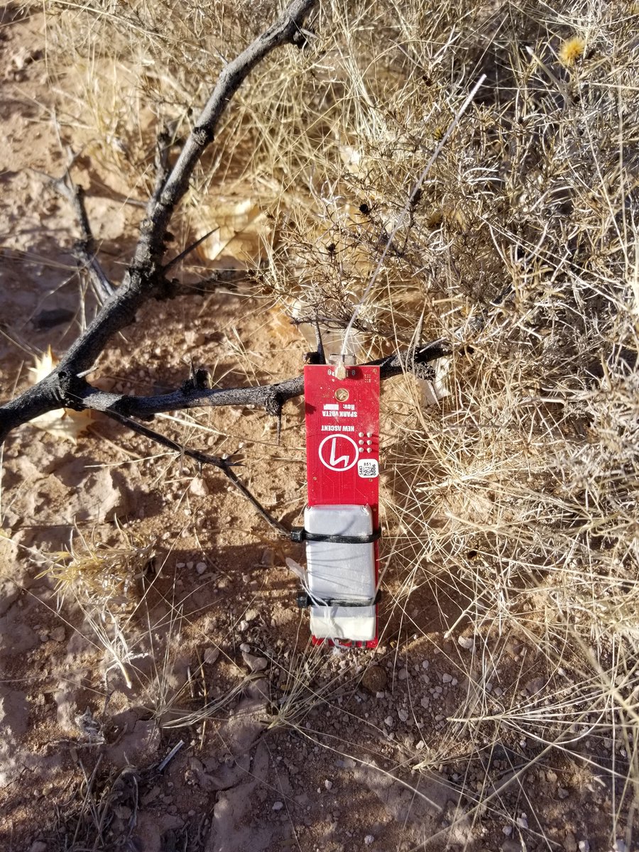 New Ascent tweet media