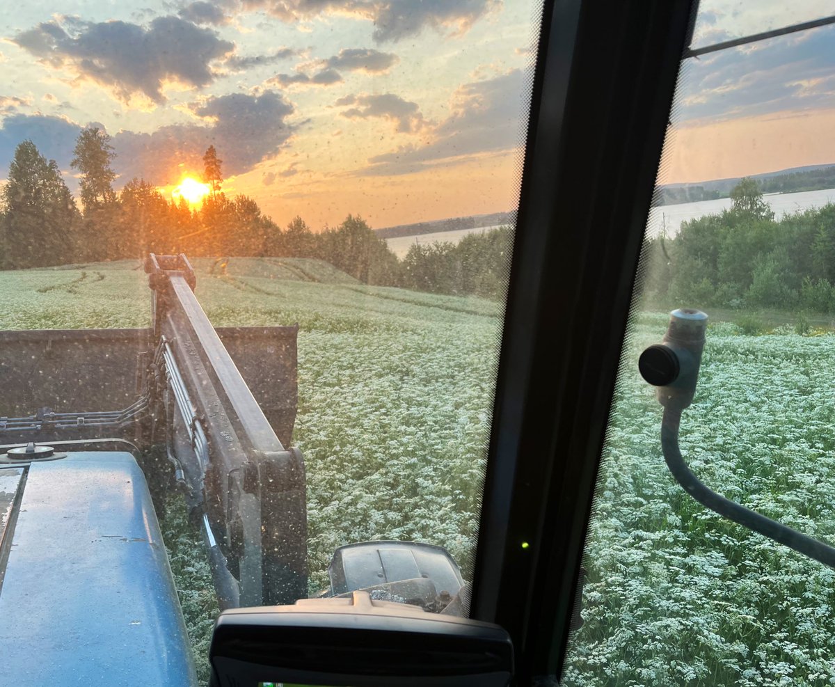 Mikamarkus's tweet photo. Tällainen konttori tänä iltana. Ei huono. #kumina #kesä# #kesäkuu # Pirkanmaa https://t.co/bezOz8EPog