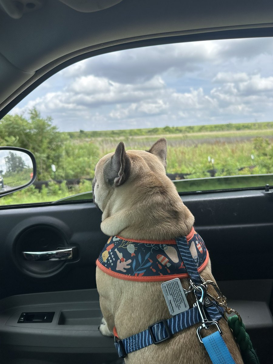 Stuck in traffic on my way to Bluffton .#gypsum