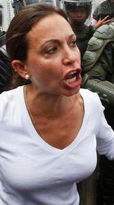 SonPolemicas's tweet photo. La familia de Maria Corina Machado participó de la Corrupción en todos los gobiernos de la Cuarta, por eso ella dice que va "a cobrar" si llega a la Presidencia, a cobrar lo que dejaron de ganar en estos 25 años, como antiguos parásitos del Estado Venezolano https://t.co/FjIDe9IHHm