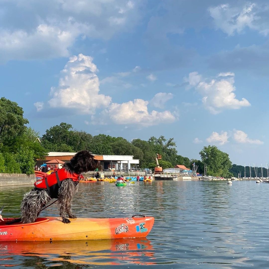 Want to go kayaking! Check out one of our kayaking locations for a FUN day out on the water 🌊

bit.ly/wfr-kayaks

#wheelfunrentals #WFR #familyfun #thingstodo #bikerentals #exploreoutdoors #boatrentals #kayaks #watercrafts #lakefun #beachfun #pedalboats #sup #surfing