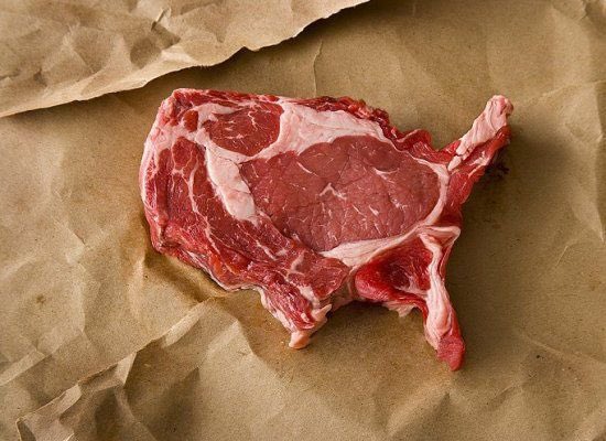 Should I run for President of the United Steaks of America? 🤔