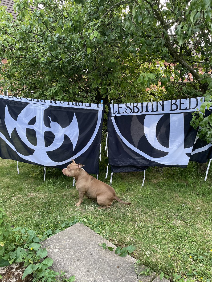 LBDofficial's tweet photo. Getting the laundry done ready for #deadfest in Bradford tomorrow 🤘🔥🎃 #lesbianbeddeath #gothicpunk #heavymetal https://t.co/Lyhg1RKxxn