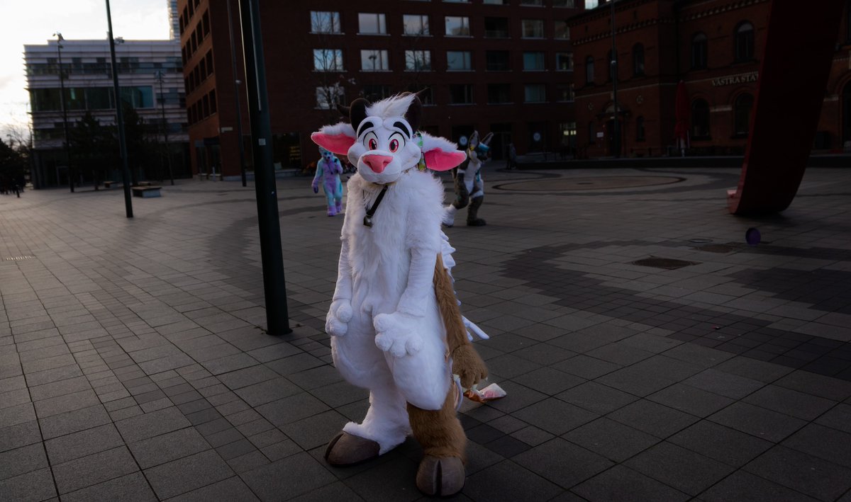 mäh?
📷<a href="/adelair_/">Adelair 🔚 FWA</a>  🪡<a href="/MoreFurLess/">More Fur Less</a>  #FursuitFriday #MoreFurLess #nordicfuzzcon #NFC2023
