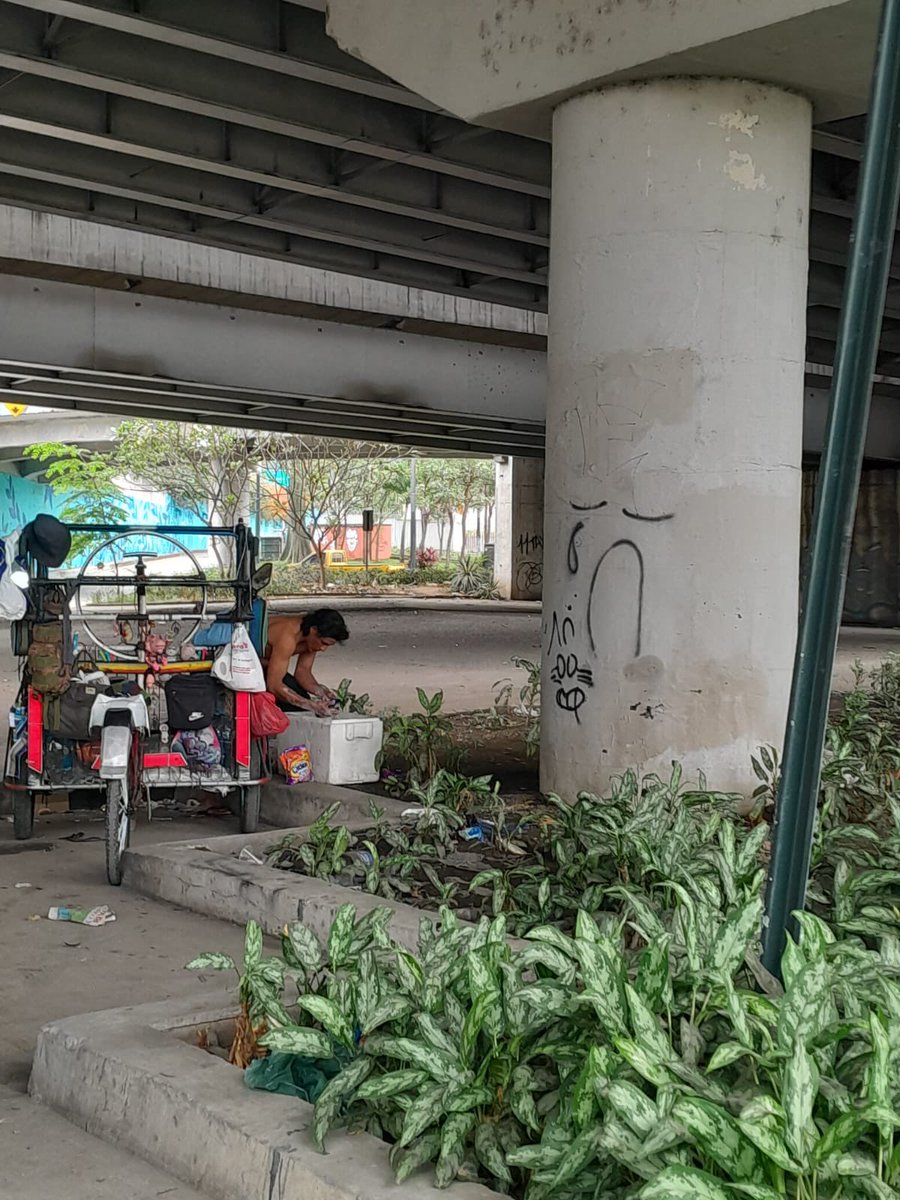 ComiteLosCeibos's tweet photo. @alcaldiagye @aquilesalvarez @FernandCornejoV @DACMSEGye @PoliciaEcuador @urvaseo  Solicitamos su intervención con limpieza e iluminación bajo el distribuidor de tráfico de ingresos a Los Ceibos y retorno a la vía a Daule. #losceibos #guayaquilsegura https://t.co/m2M1XRE4sh
