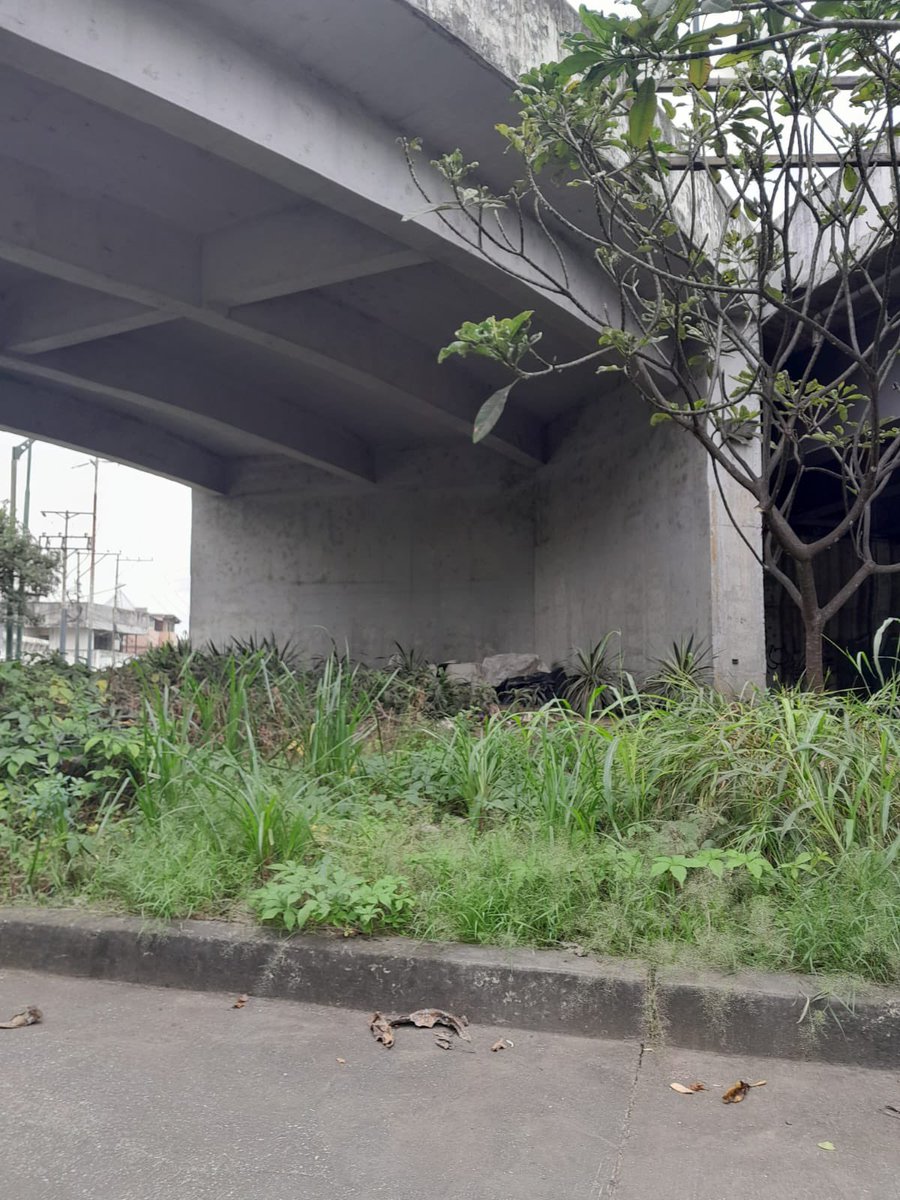 ComiteLosCeibos's tweet photo. @alcaldiagye @aquilesalvarez @FernandCornejoV @DACMSEGye @PoliciaEcuador @urvaseo  Solicitamos su intervención con limpieza e iluminación bajo el distribuidor de tráfico de ingresos a Los Ceibos y retorno a la vía a Daule. #losceibos #guayaquilsegura https://t.co/m2M1XRE4sh