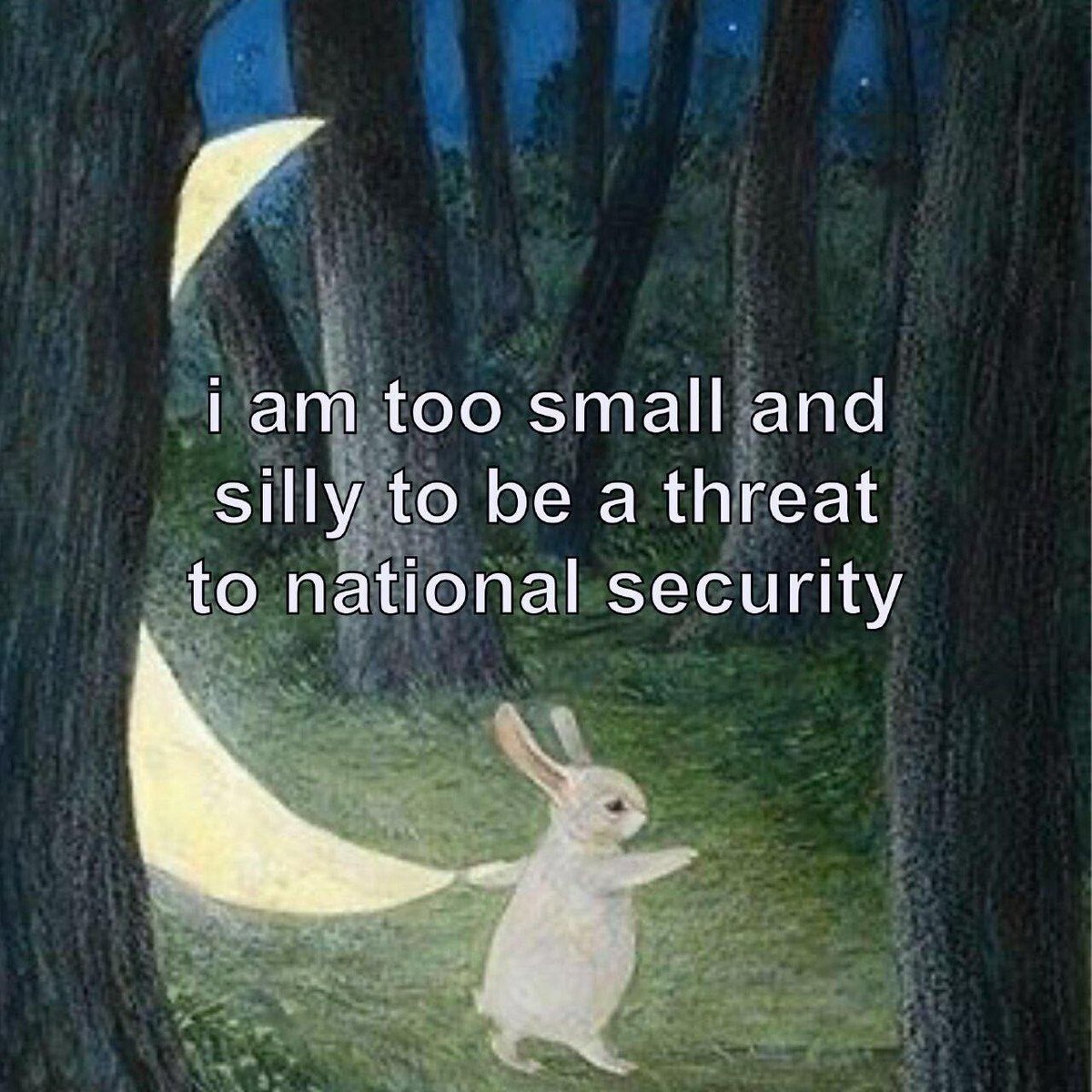 Jackie Gerstein tweet media