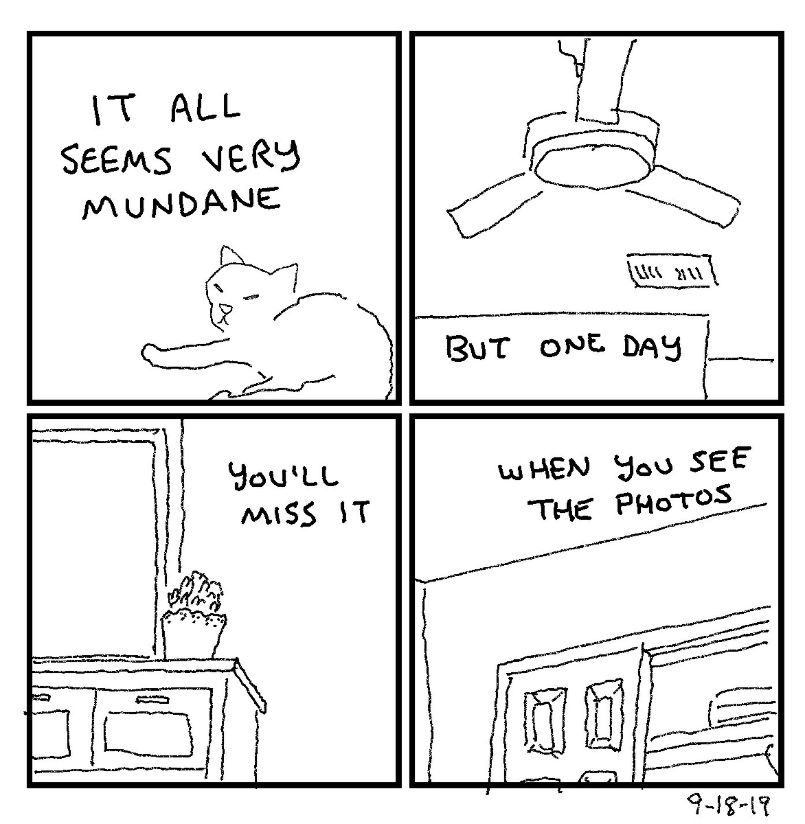 kittypeb tweet picture